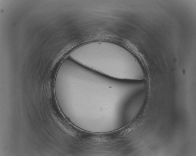 X0000062830250200601201620