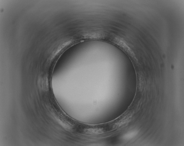 X0000062830251200601201620