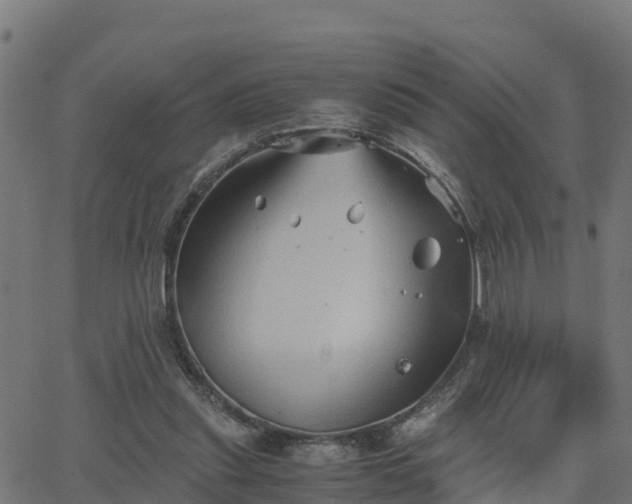 X0000062830253200601201620