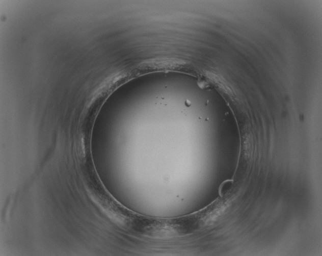 X0000062830254200601201620