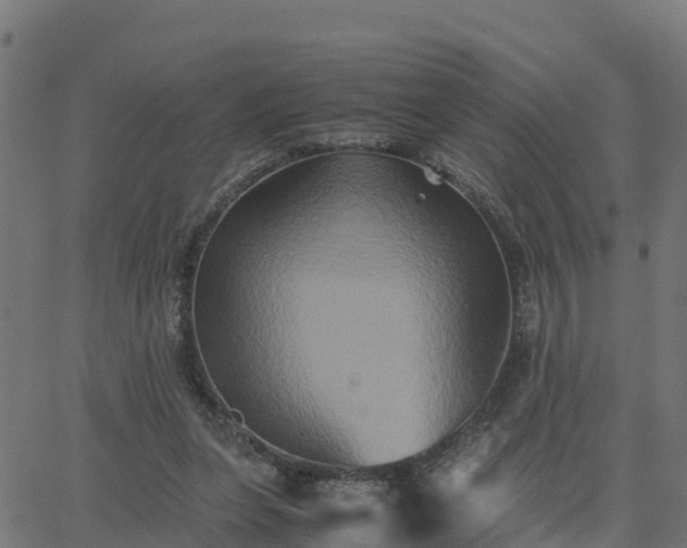 X0000062830255200601201620