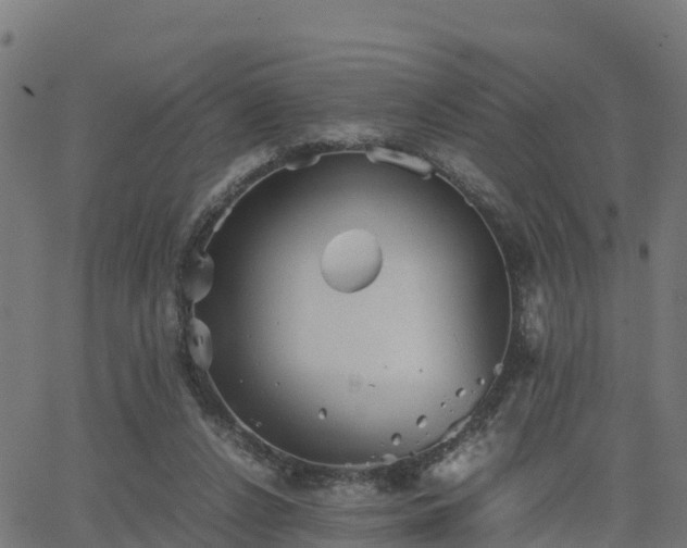 X0000062830256200601201620