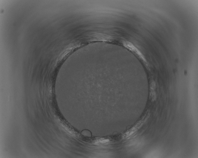 X0000062830257200601201620