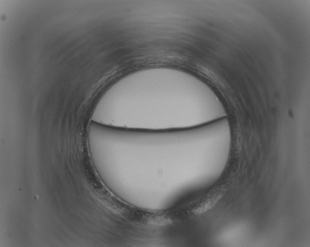 X0000062830258200601201620