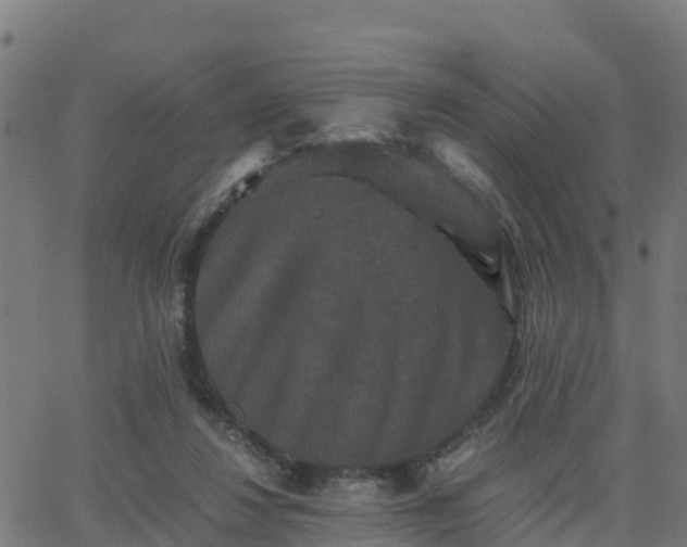 X0000062830260200601201620