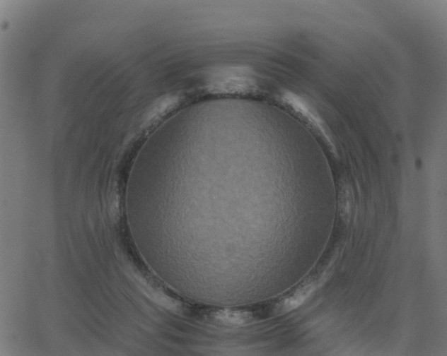 X0000062830261200601201620