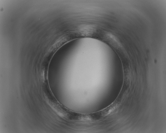 X0000062830262200601201620