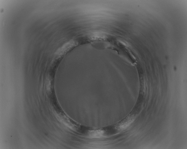 X0000062830266200601201620