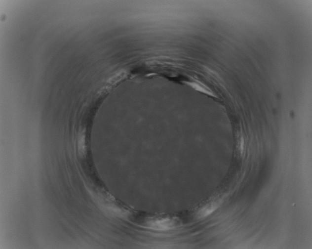 X0000062830267200601201620