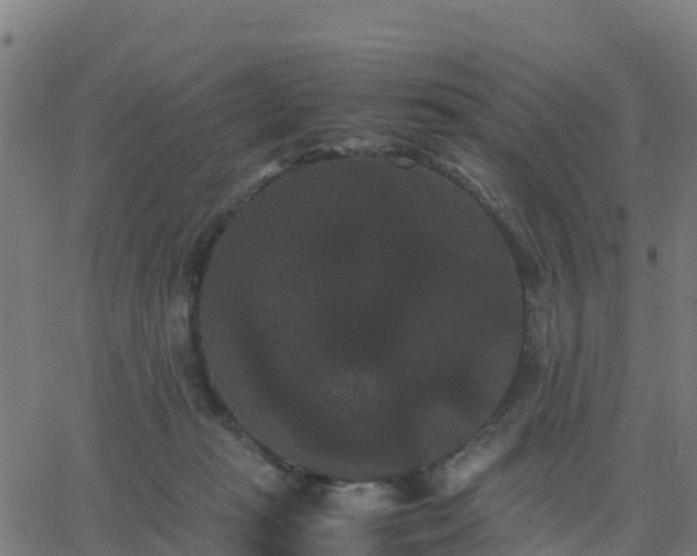 X0000062830269200601201620