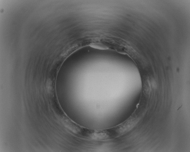 X0000062830270200601201620