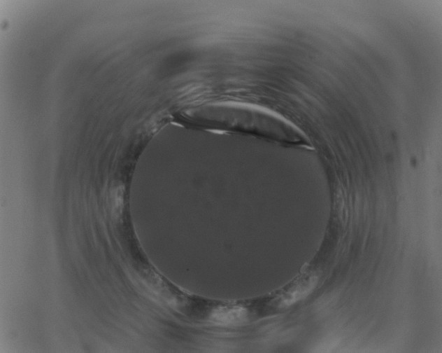 X0000062830271200601201620