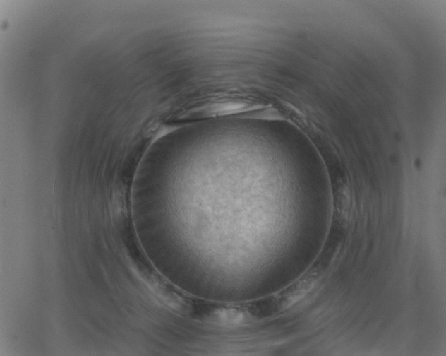 X0000062830272200601201620