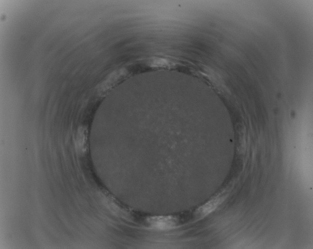 X0000062830273200601201620