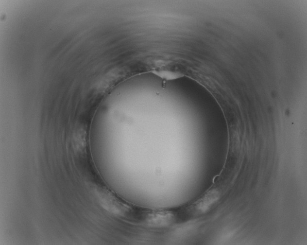 X0000062830274200601201620