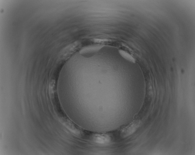 X0000062830275200601201620