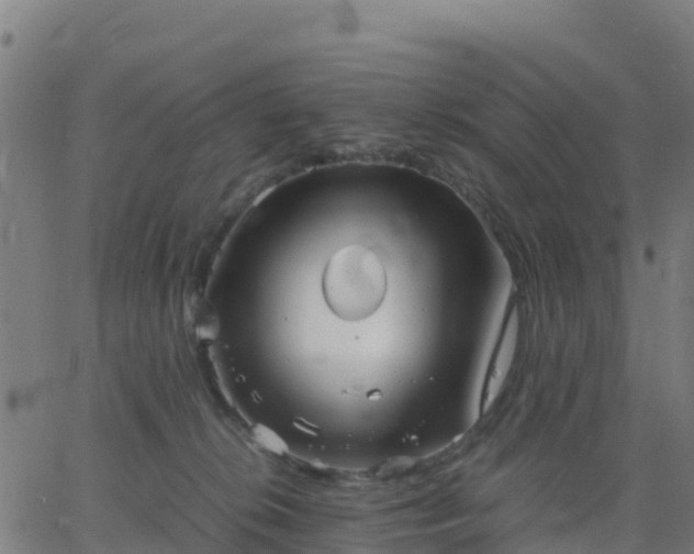 X0000062830276200601201620