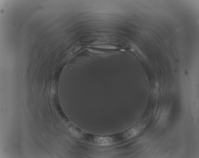 X0000062830277200601201620