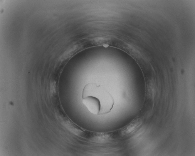 X0000062830278200601201620