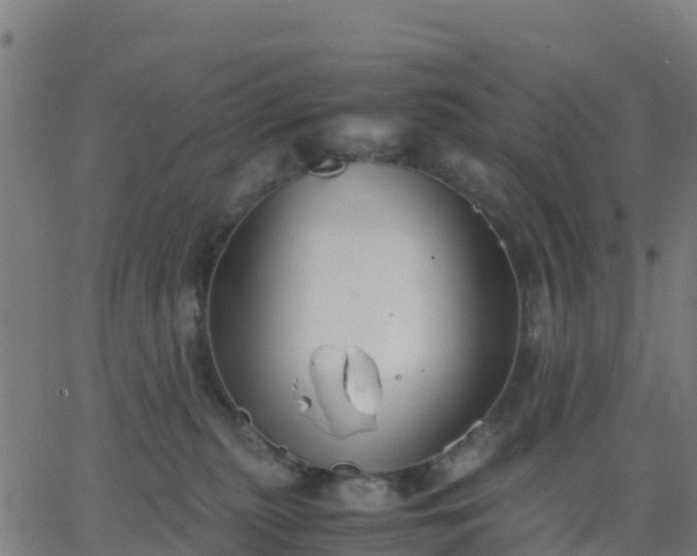 X0000062830279200601201620