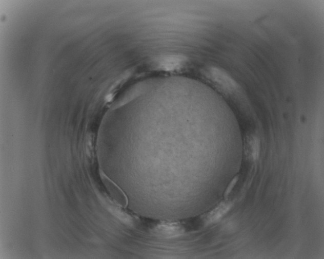 X0000062830280200601201620