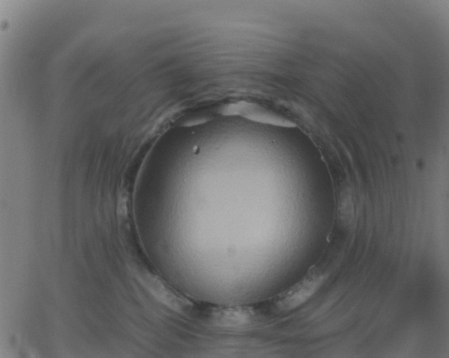 X0000062830282200601201620