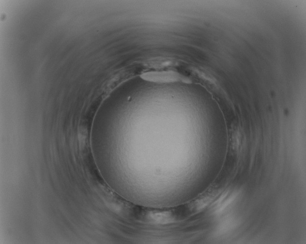 X0000062830283200601201620