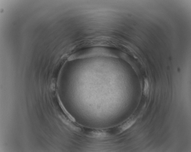 X0000062830284200601201620