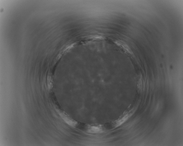 X0000062830285200601201620