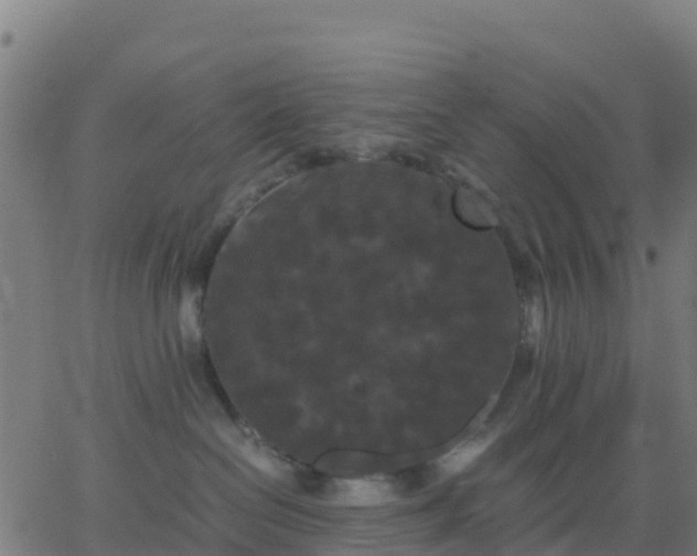 X0000062830286200601201620