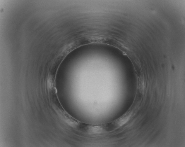 X0000062830287200601201620