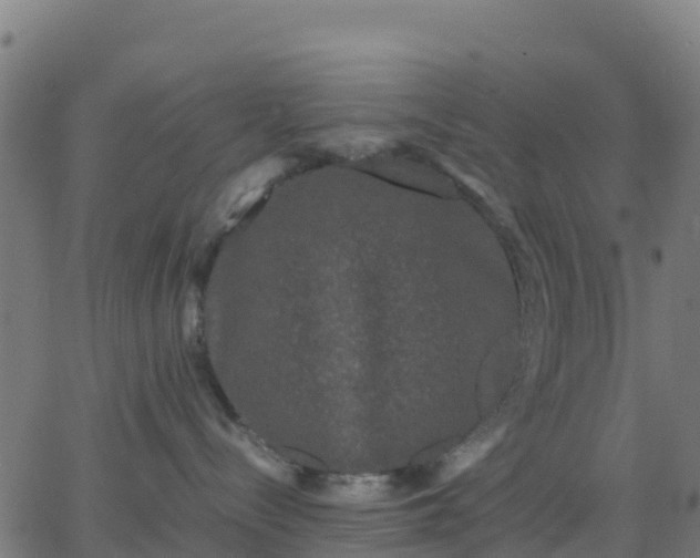 X0000062830288200601201620