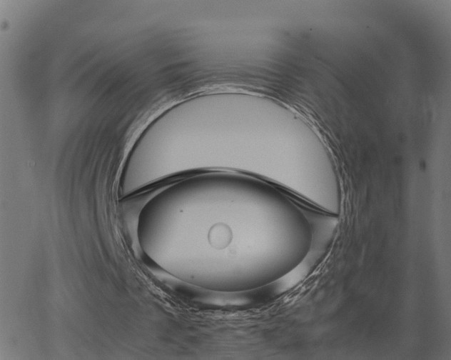 X0000062830289200601201620