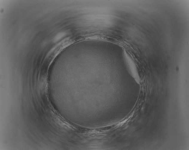 X0000062830290200601201620