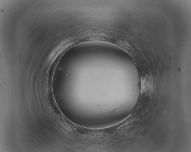 X0000062830291200601201620