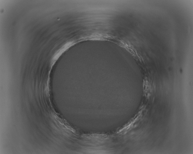 X0000062830292200601201620