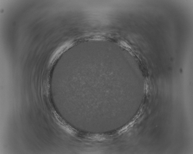 X0000062830293200601201620