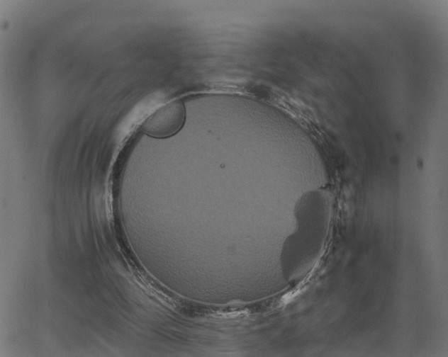 X0000062830294200601201620