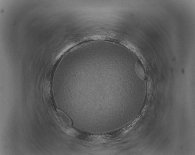 X0000062830297200601201619