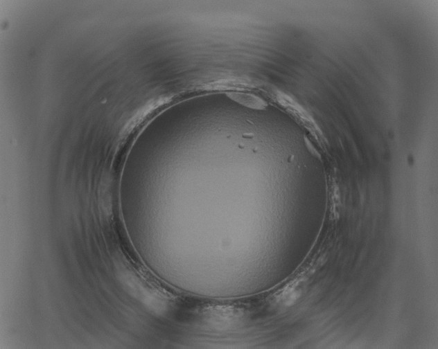 X0000062830298200601201619