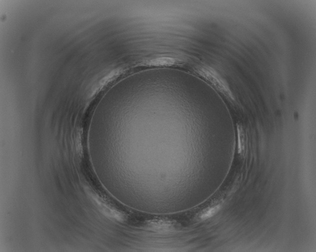 X0000062830300200601201619