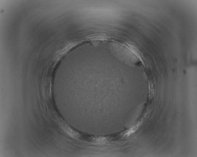 X0000062830301200601201619