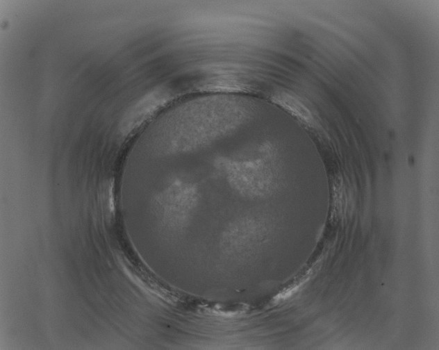 X0000062830302200601201619