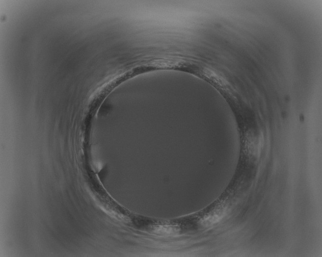 X0000062830303200601201619