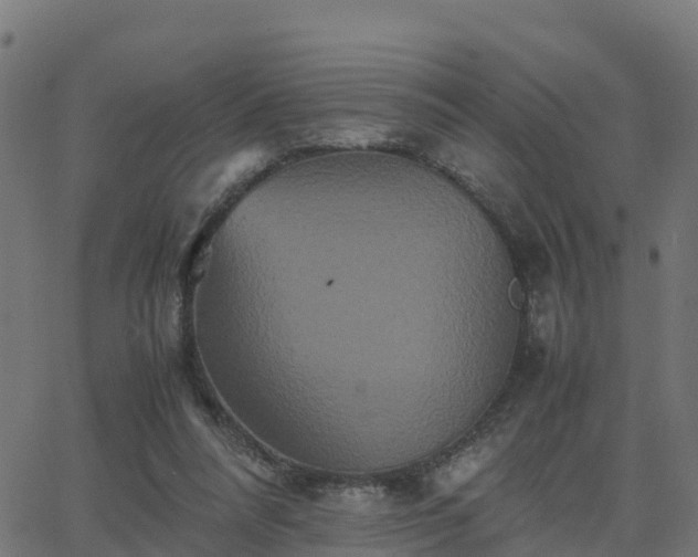 X0000062830304200601201619