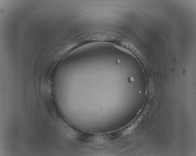 X0000062830305200601201619