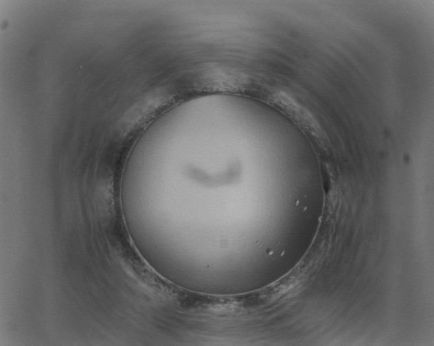 X0000062830306200601201619