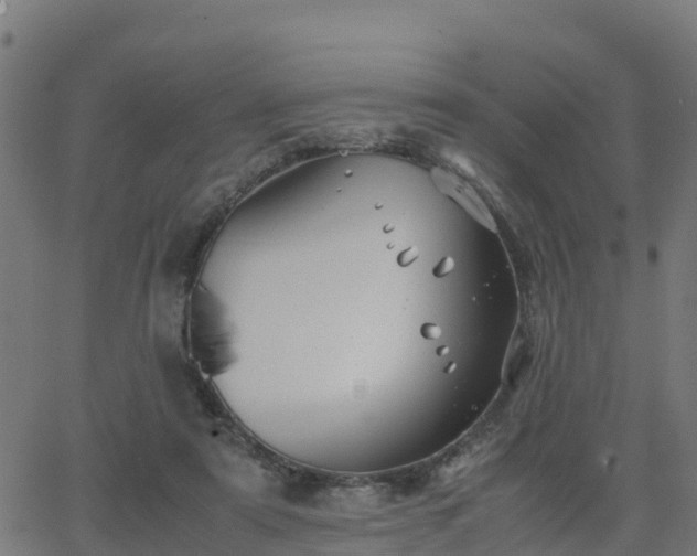 X0000062830307200601201619