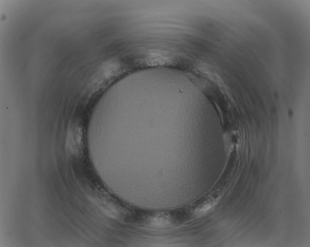 X0000062830308200601201619