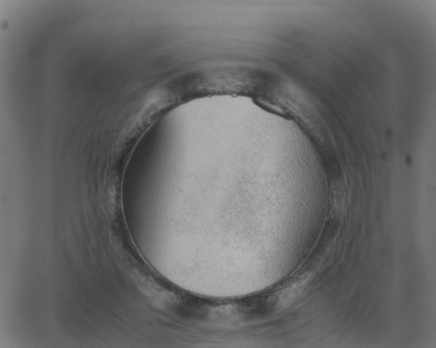 X0000062830309200601201619